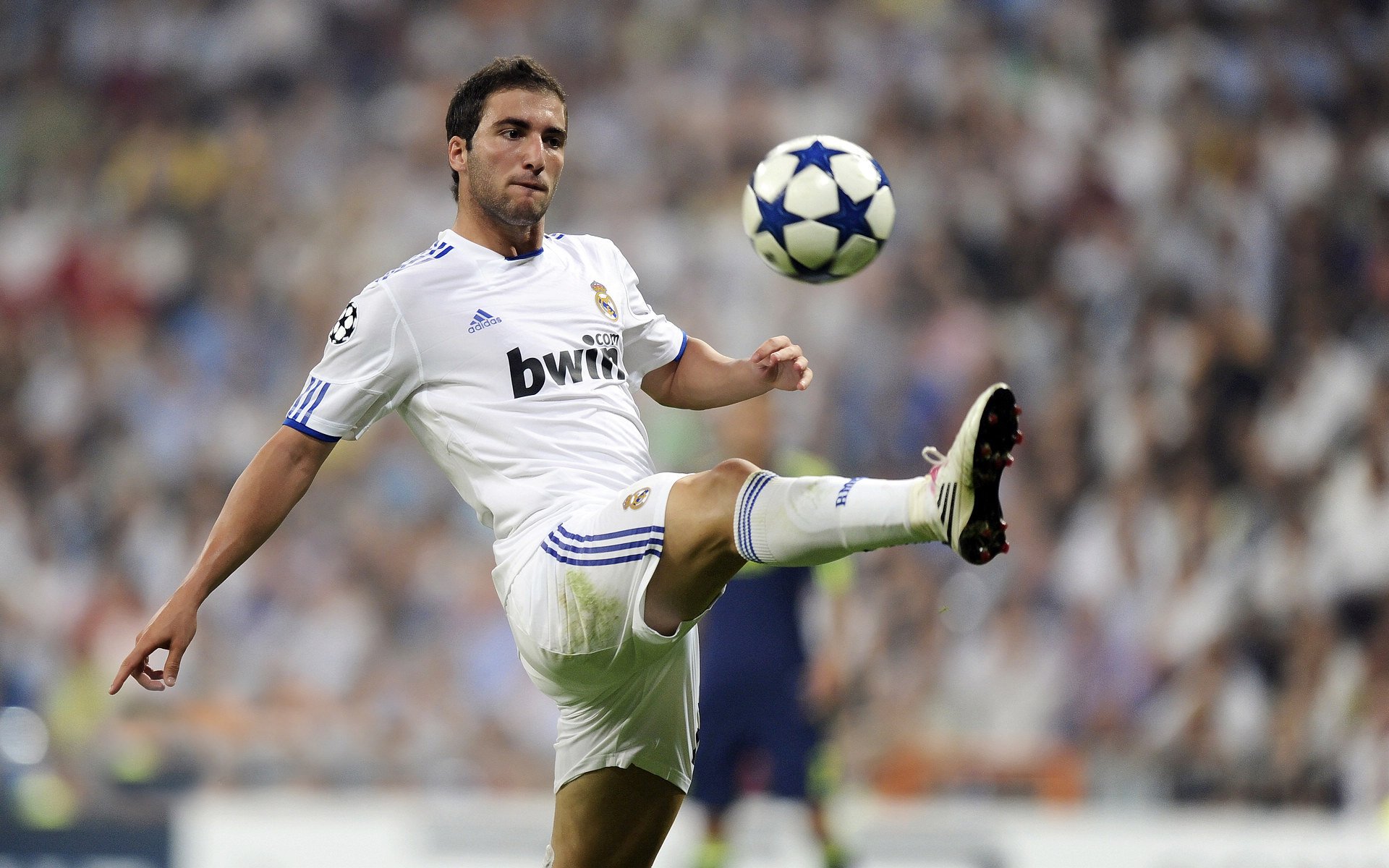 场上显神威：王强的三分命中率达到36%，一举奠定胜局，王强打多少分